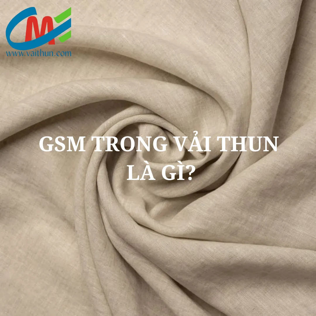 GSM trong vải thun là gì?