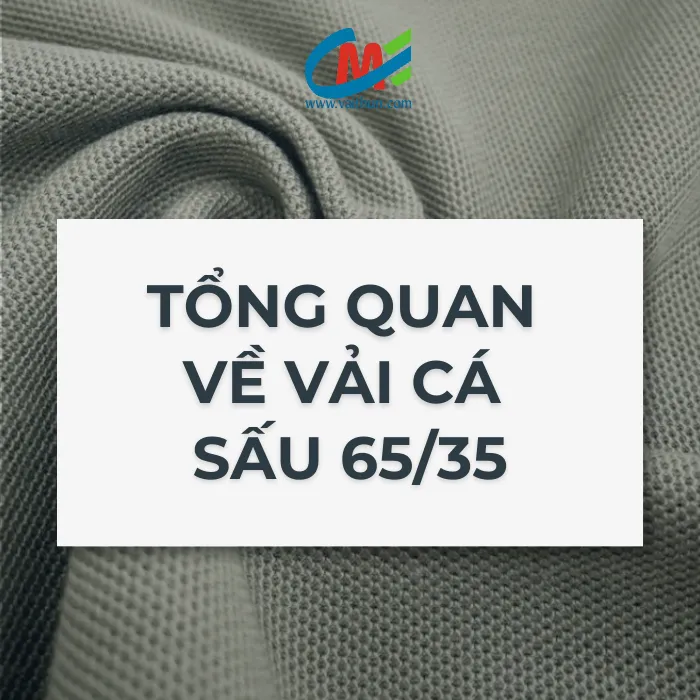 Tổng quan về vải cá sấu 65/35