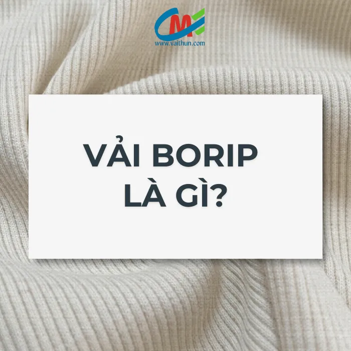 Vải borip là gì?