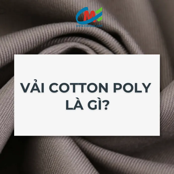 Vải cotton poly là gì?