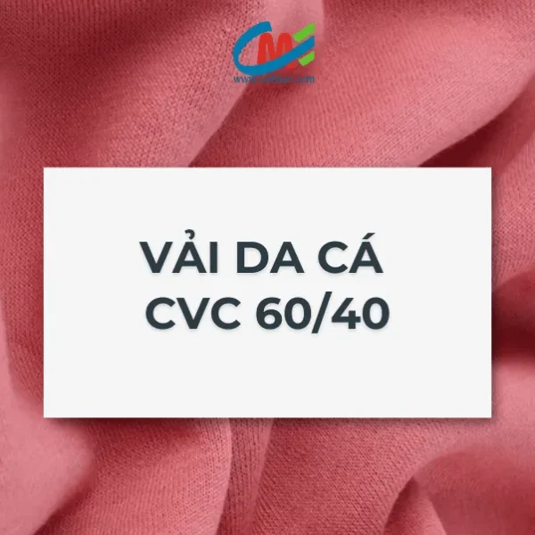 vai da ca 60 40