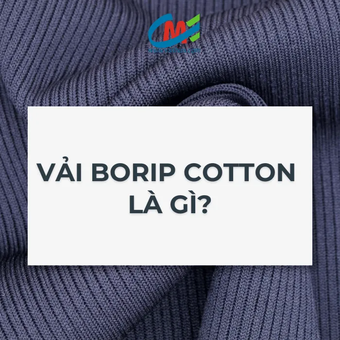 Vải borip cotton là gì?