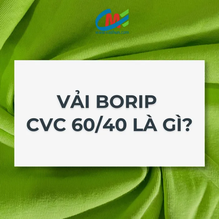 Vải borip CVC 60/40 là gì?