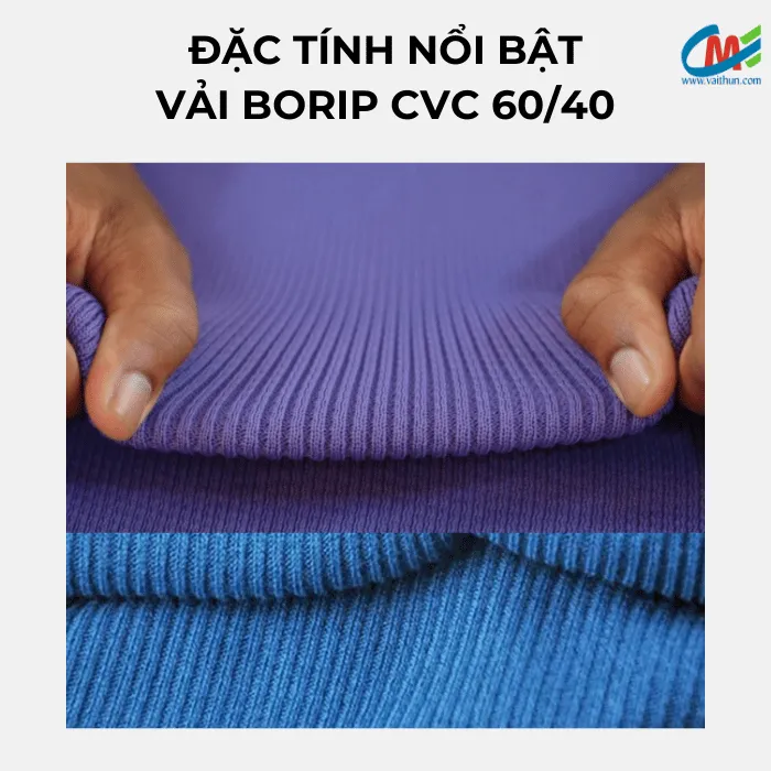 Đặc điểm nổi bật của vải borip CVC 60/40
